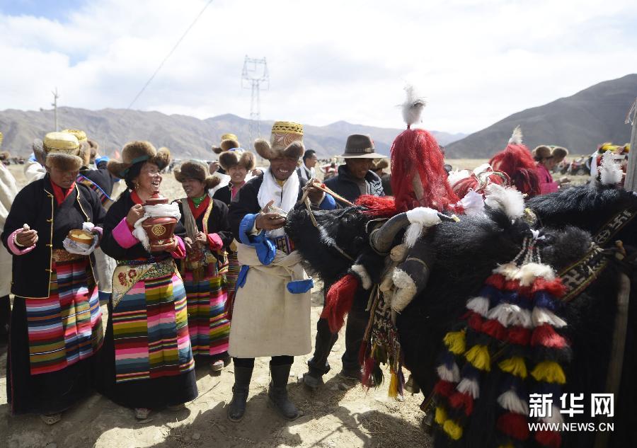 西藏山南地区贡嘎县岗堆镇雪村的村民举行开犁仪式。